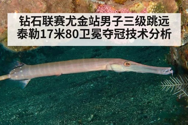钻石联赛尤金站男子三级跳远泰勒17米80卫冕夺冠技术分析