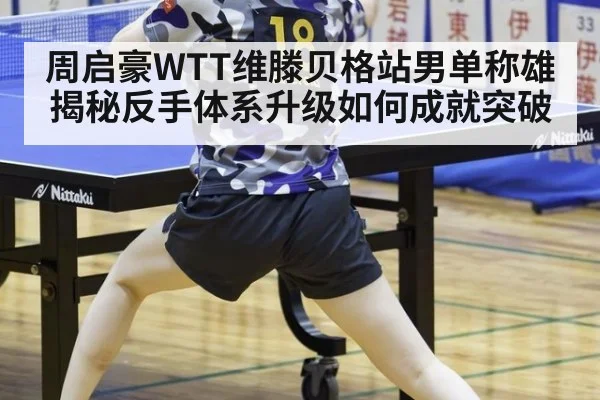 周启豪WTT维滕贝格站男单称雄 揭秘反手体系升级如何成就突破