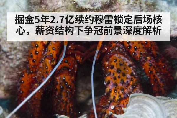 掘金5年2.7亿续约穆雷锁定后场核心，薪资结构下争冠前景深度解析