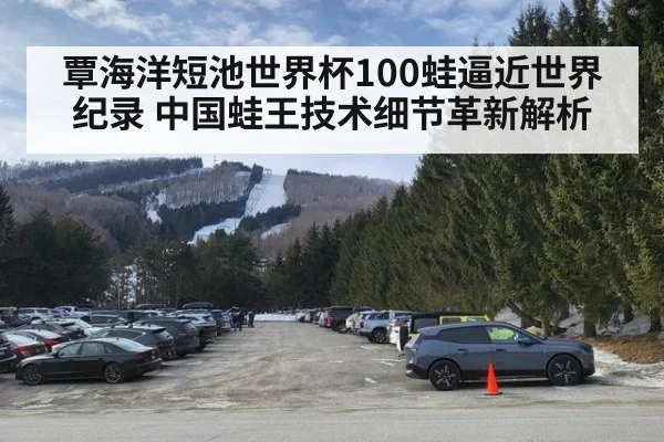 覃海洋短池世界杯100蛙逼近世界纪录 中国蛙王技术细节革新解析